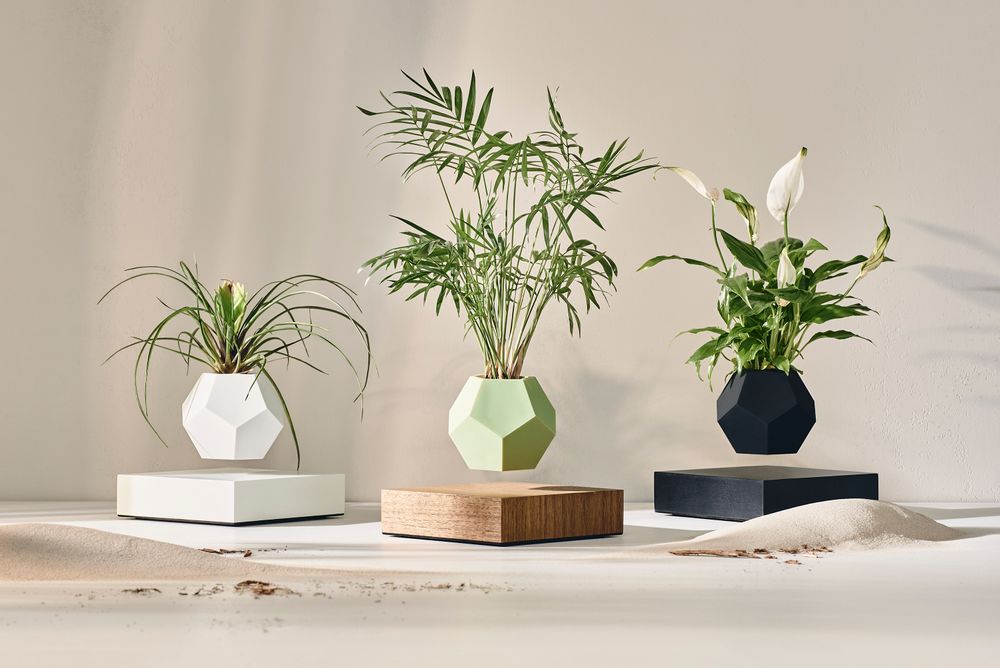 Objets design - FLYTE LYFE Jardin flottant - FLYTE