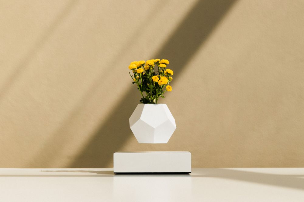 Objets design - FLYTE LYFE Jardin flottant - FLYTE
