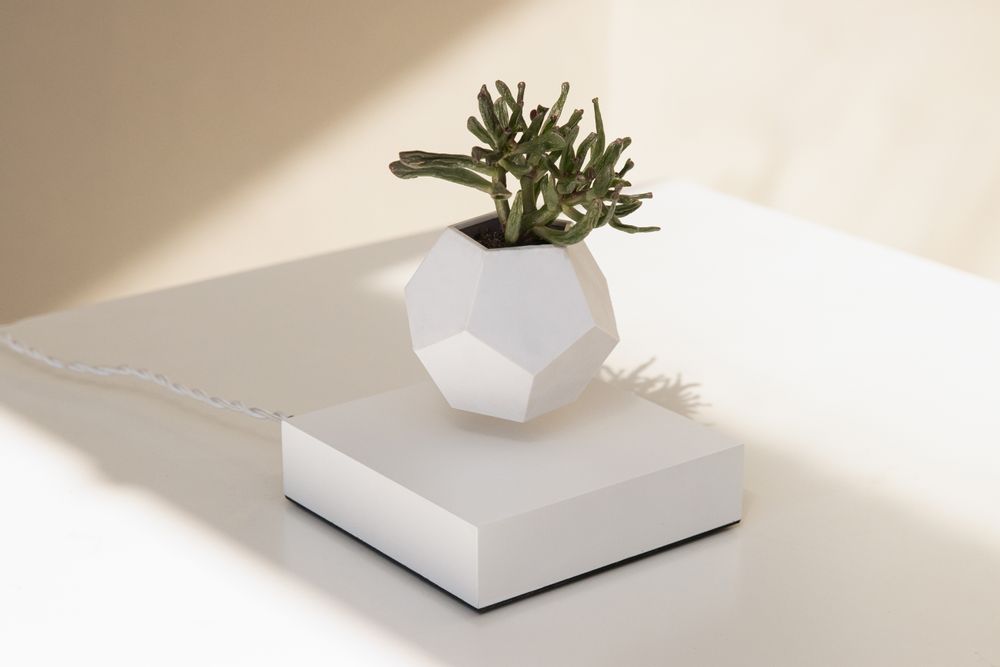 Objets design - FLYTE LYFE Jardin flottant - FLYTE