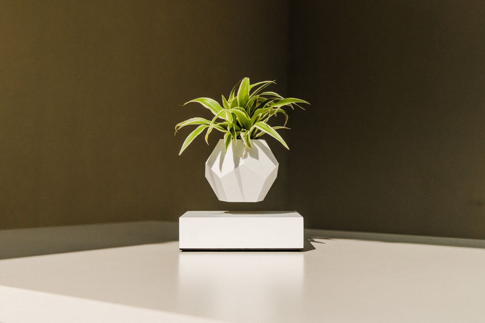 Objets design - FLYTE LYFE Jardin flottant - FLYTE