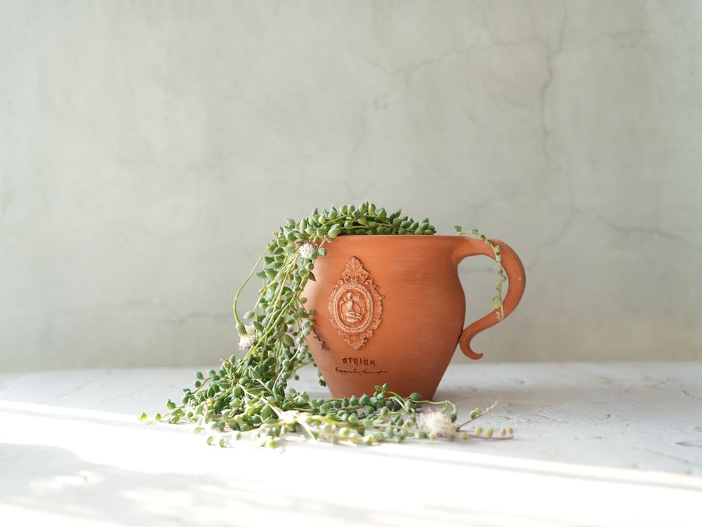 Vases - Maya- Handmade Terracotta Pot, plant pot, flower vase - ATRIUM DESIGN STUDIO