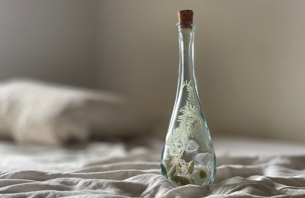 Décorations florales - Long Glass Herbarium - NAMAN-PROJECT