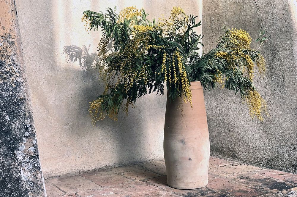 Poterie - Pots en terre cuite, différentes tailles et modèles disponibles - NAMAN-PROJECT