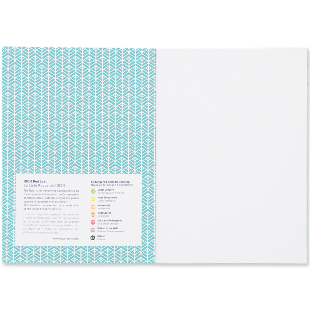 Children's arts and crafts - Notebook A5 48 pages Toucan - COQ EN PATE