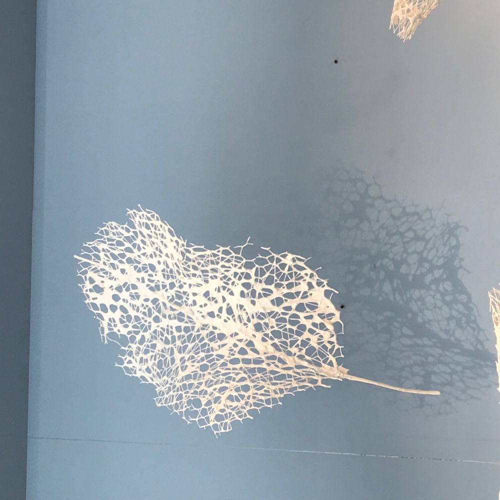 Objets design - Gorgone corail décoration murale - NATALIE SANZACHE
