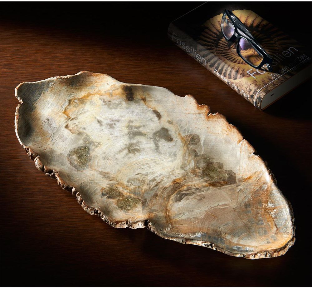 Decorative objects - Petrified wood plates and bowls - XYLEIA PETRIFIED WOOD