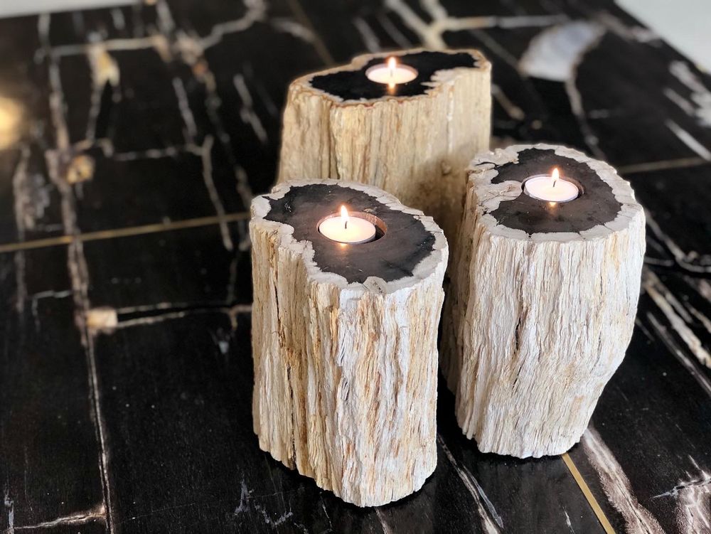 Decorative objects - PETRIFIED WOOD | Decorative objects of petrified wood - XYLEIA PETRIFIED WOOD