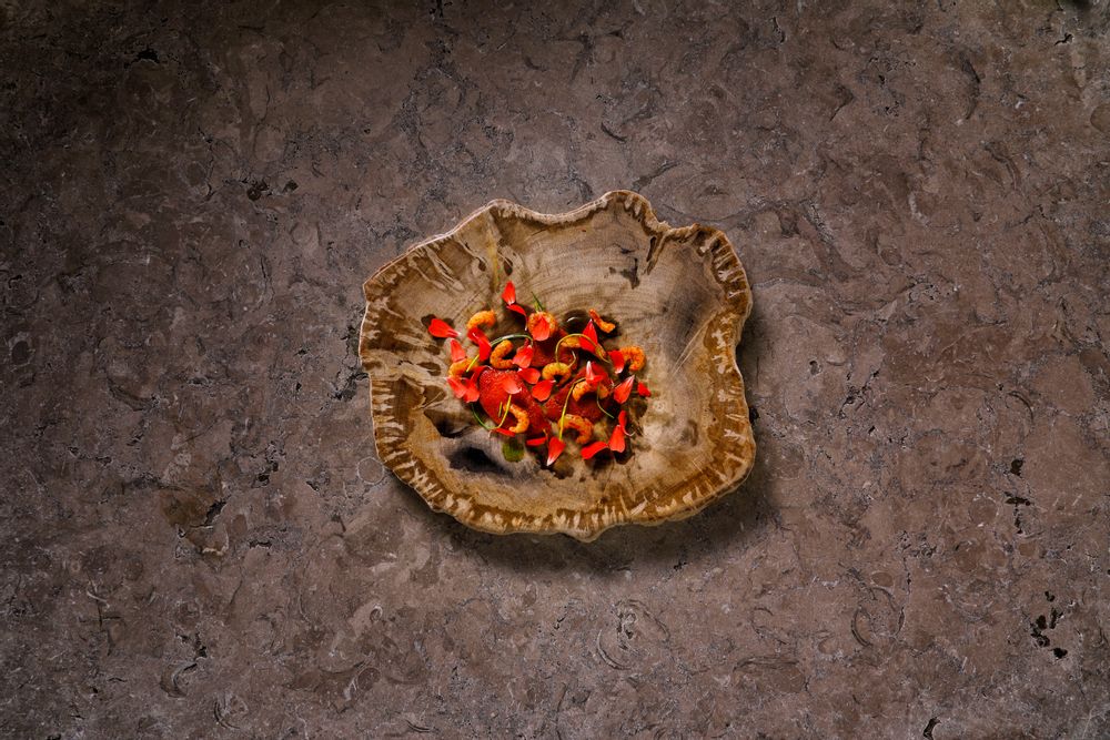 Decorative objects - Petrified wood plates and bowls - XYLEIA PETRIFIED WOOD