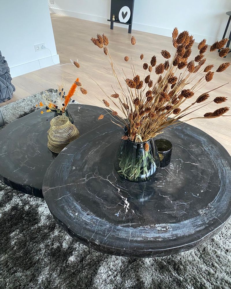 Coffee tables - PETRIFIED WOOD COFFEE TABLE - XYLEIA PETRIFIED WOOD