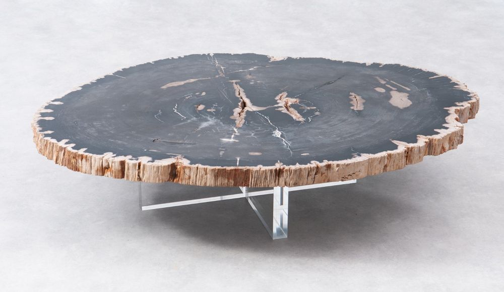 Coffee tables - PETRIFIED WOOD COFFEE TABLE - XYLEIA PETRIFIED WOOD