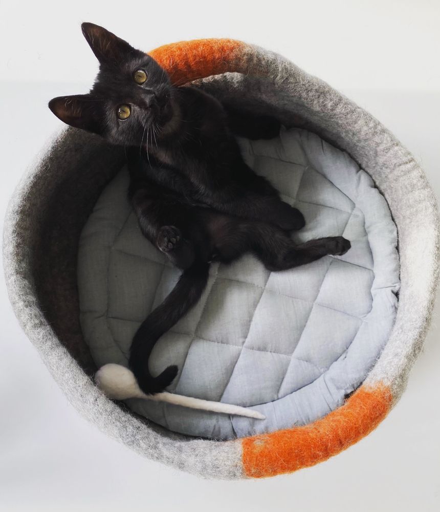 Autres tapis - Panier pour chats et chiens , couchage pour chats et chiens , dodo pour chats et chiens , lit pour chats et chiens. - COCOON PARIS