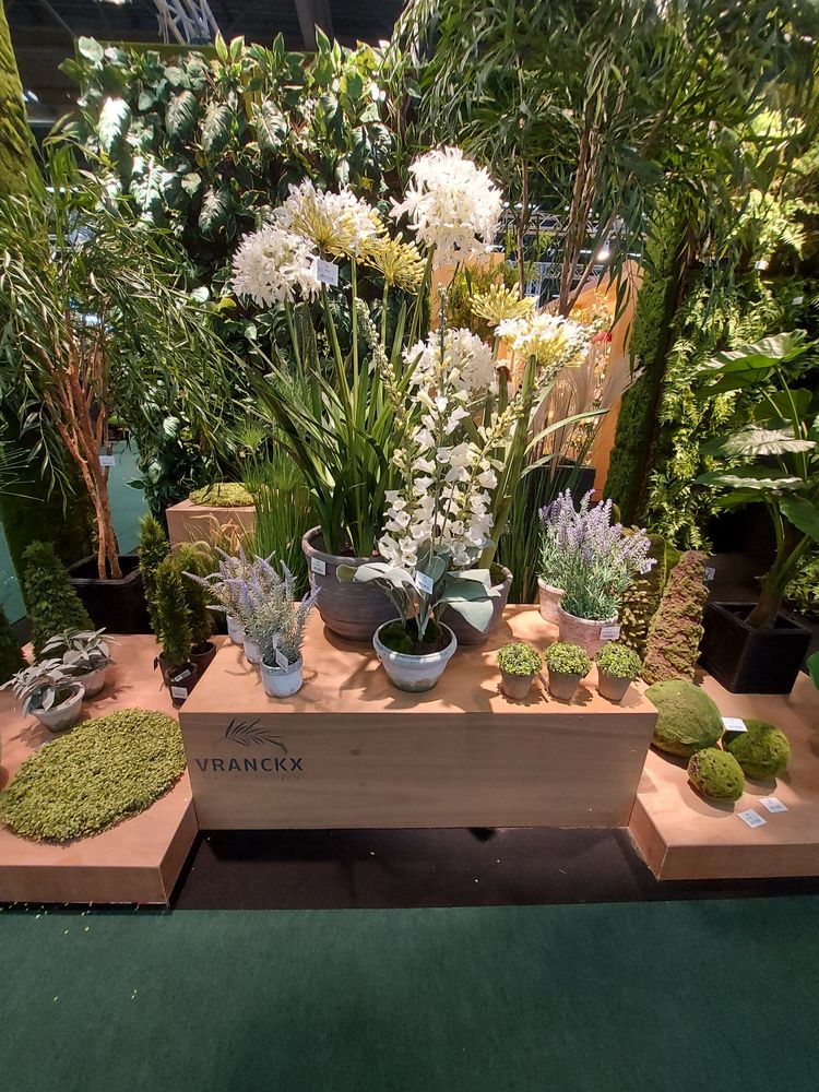 Floral decoration - Green plants & trees - VRANCKX