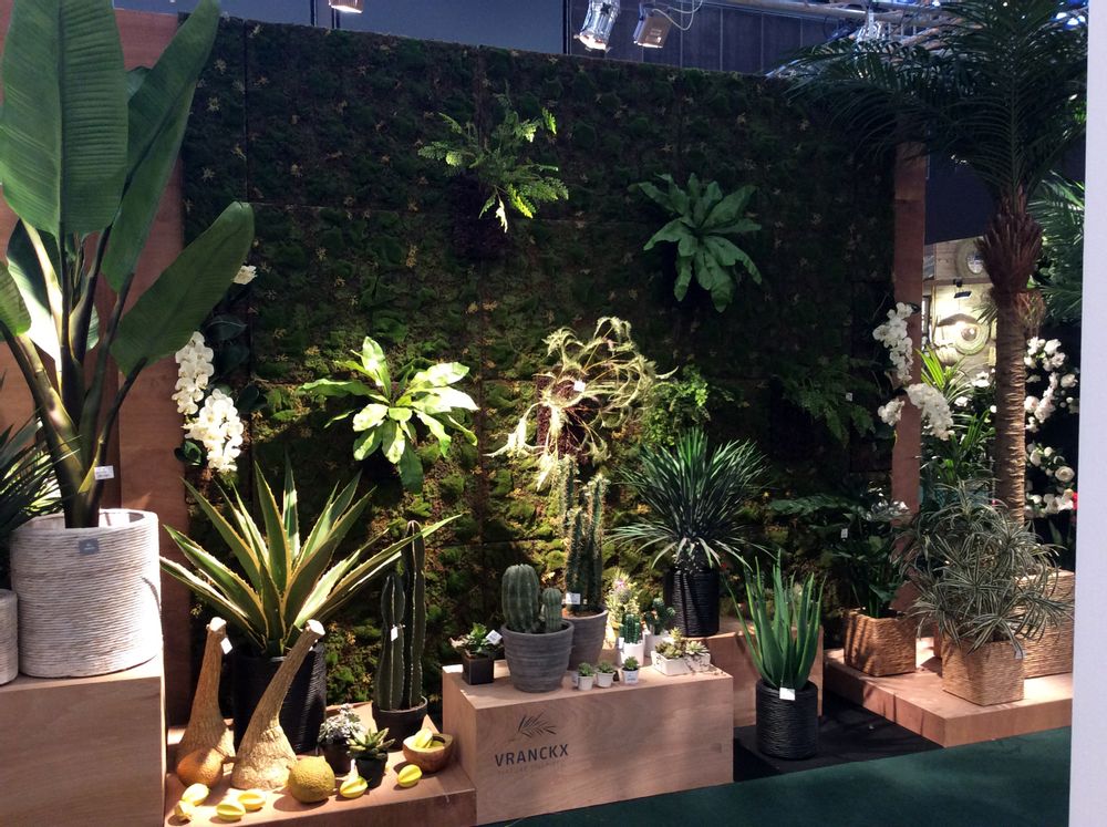 Floral decoration - Green plants & trees - VRANCKX
