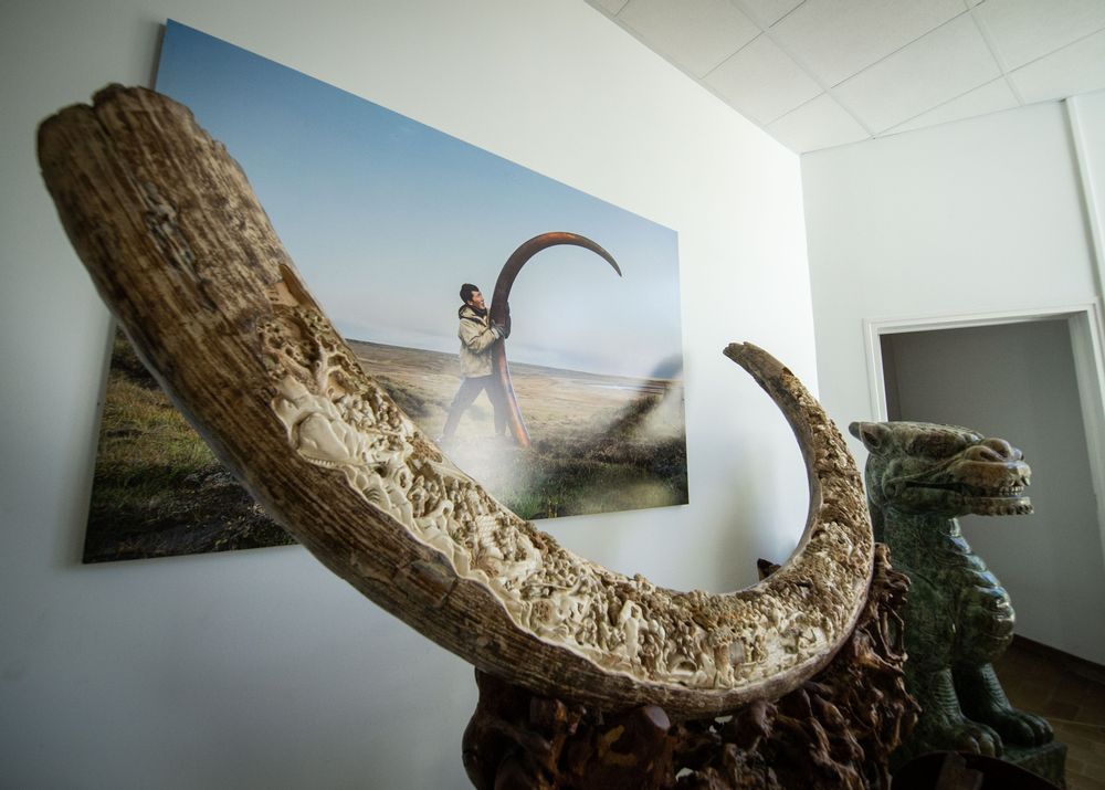 Sculptures, statuettes et miniatures - Ivoire de mammouth sculpté - TRESORIENT