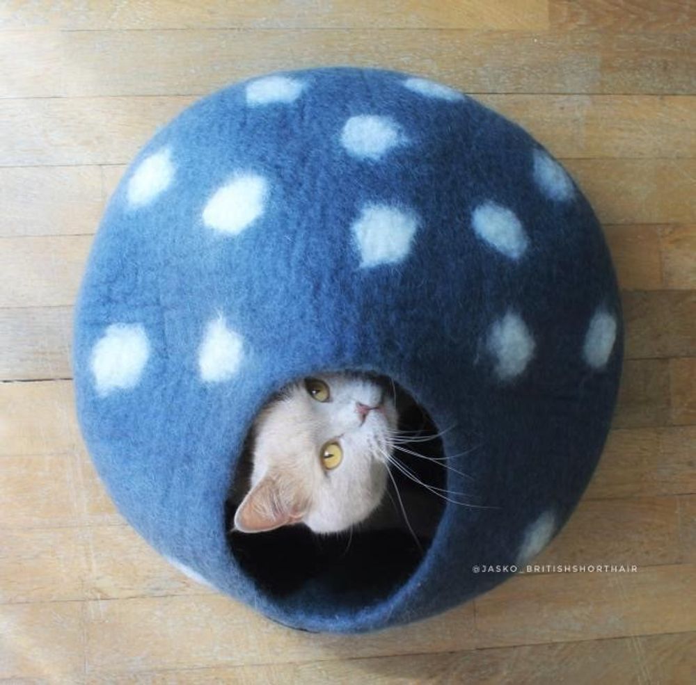 Accessoires animaux - Cocon ou grotte pour chats en laine feutrée - COCOON PARIS