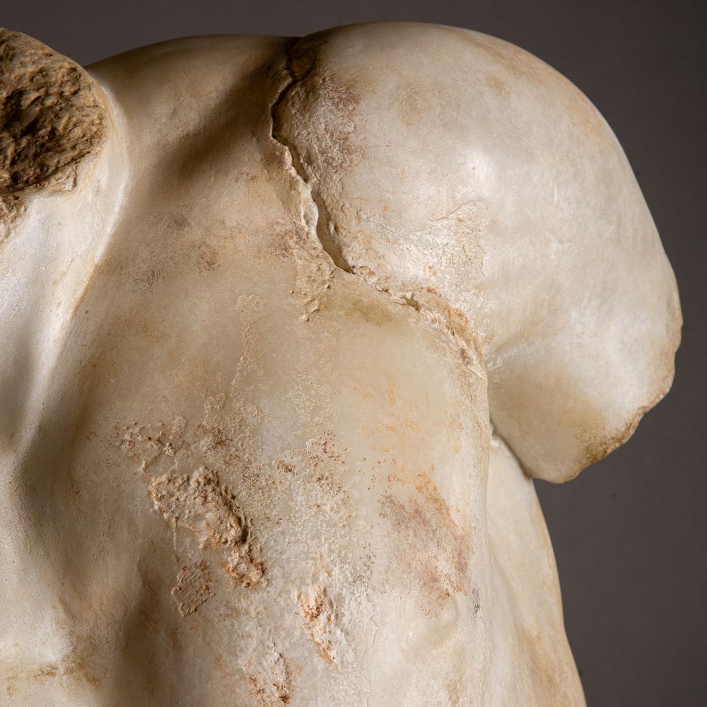 Sculptures, statuettes and miniatures - Giant Apollo Torso - ATELIERS C&S DAVOY