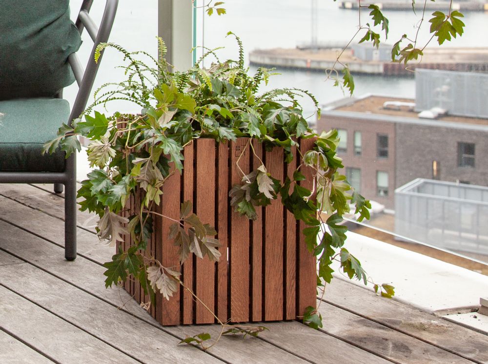 Décorations florales - GrowMORE - SQUARELY COPENHAGEN