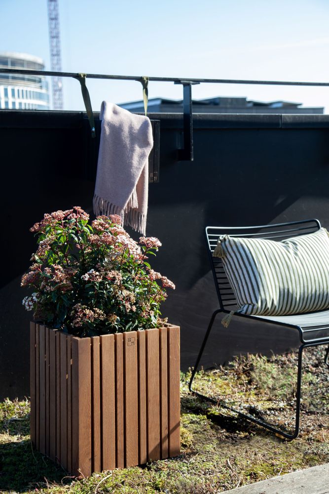 Décorations florales - GrowMORE - SQUARELY COPENHAGEN