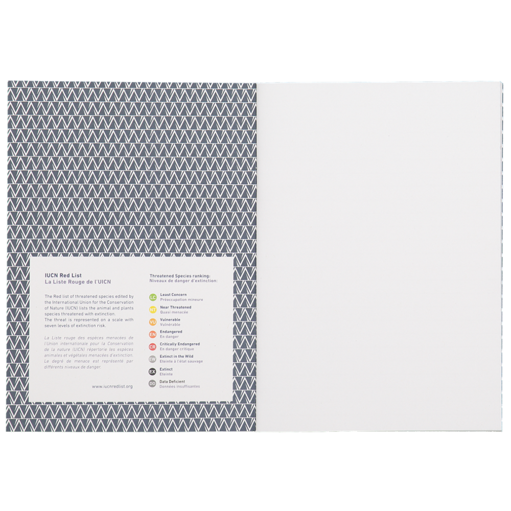 Loisirs créatifs pour enfant - Carnet Papier recyclé A5 48 pages Pingouin - COQ EN PATE