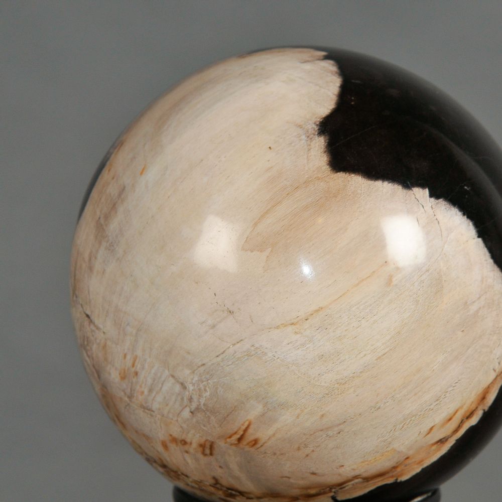 Decorative objects - Set Of 5 Petrified Wood Balls - ATELIERS C&S DAVOY