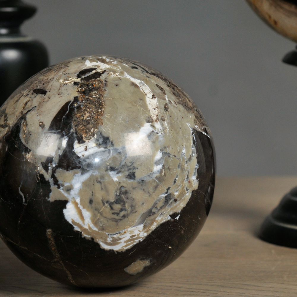 Decorative objects - Set Of 5 Petrified Wood Balls - ATELIERS C&S DAVOY