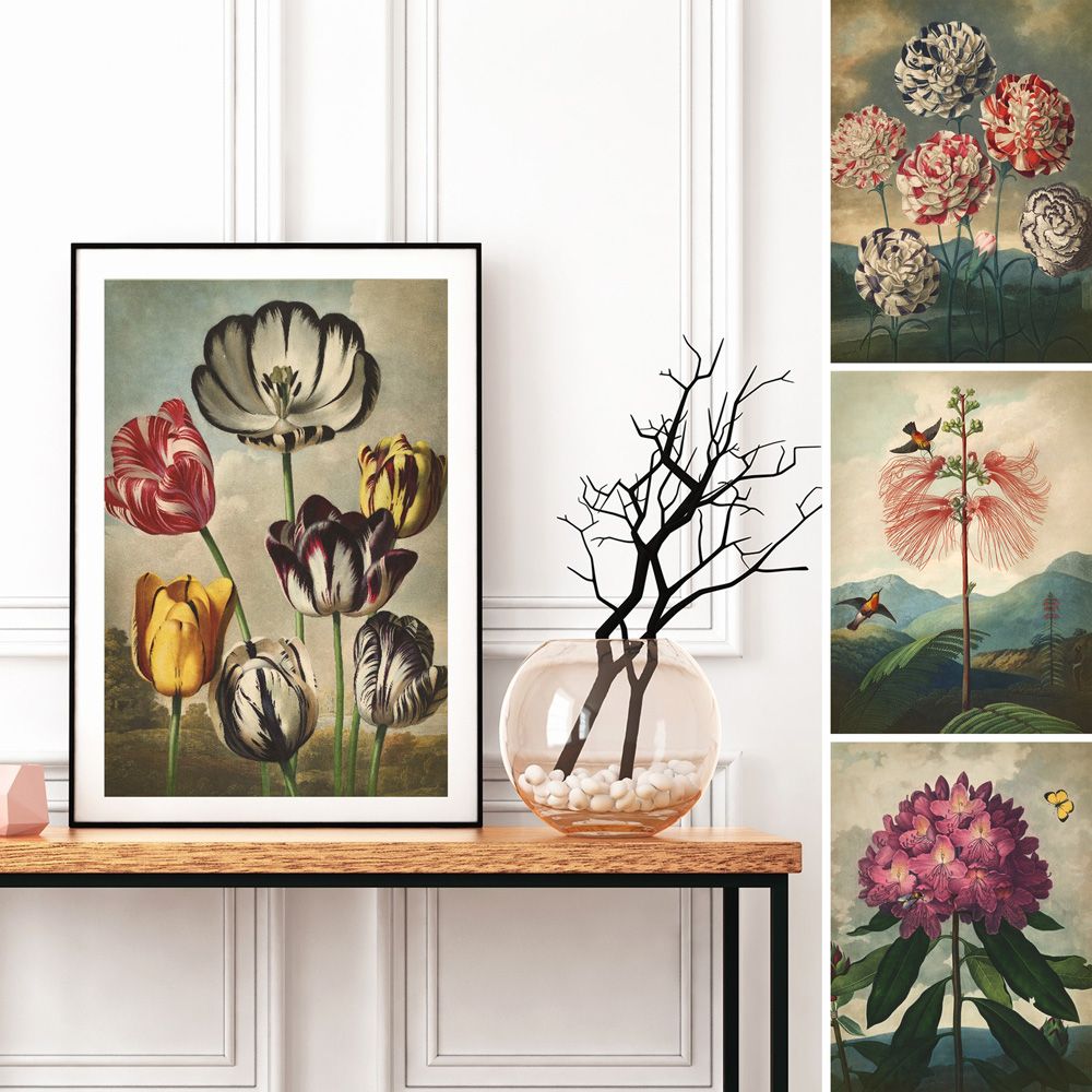 Poster - BOTANICAL Collection - BLUE SHAKER