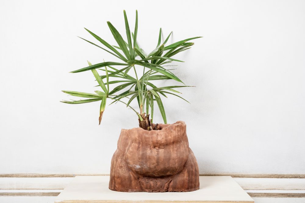 Other smart objects - Antropomorfocene Céramique - XENIA TURCHETTI