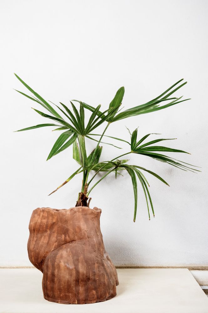 Other smart objects - Antropomorfocene Céramique - XENIA TURCHETTI