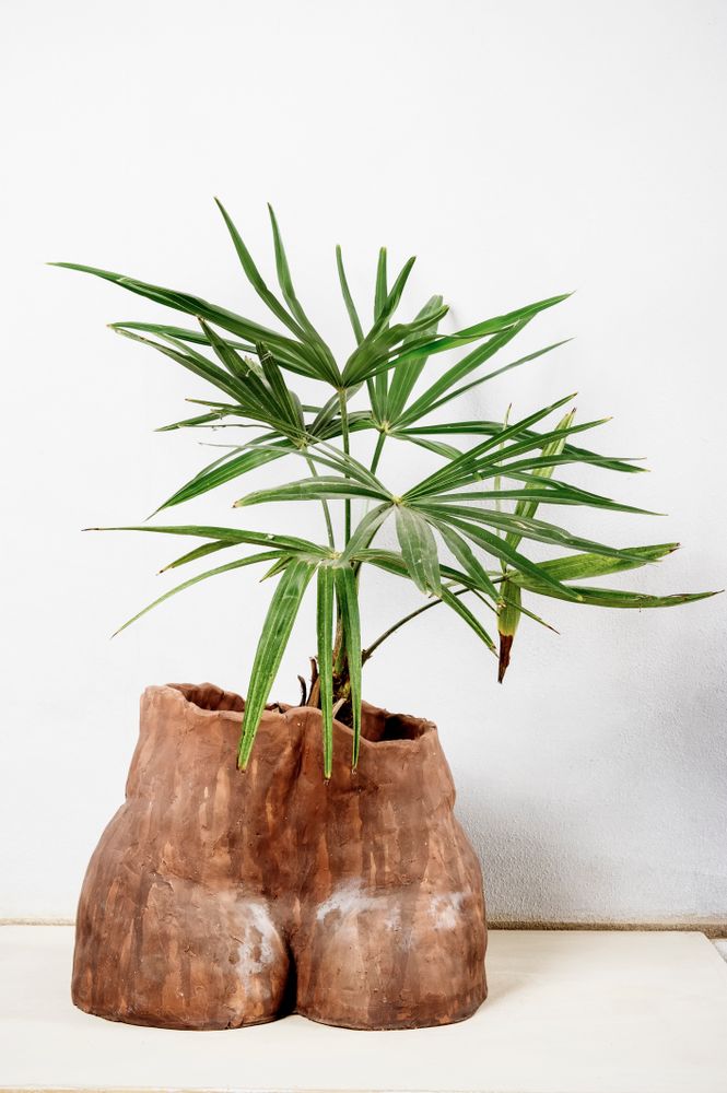 Other smart objects - Antropomorfocene Céramique - XENIA TURCHETTI