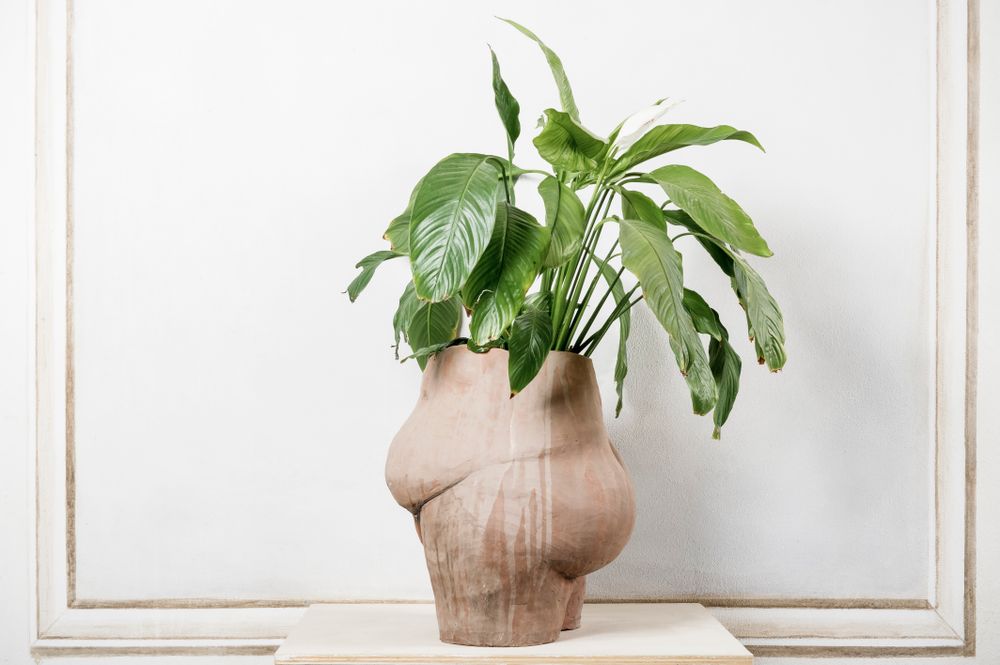 Ceramic - Antropomorfocene Ceramic - XENIA TURCHETTI