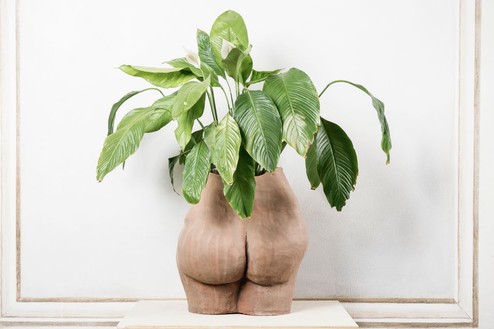 Ceramic - Antropomorfocene Ceramic - XENIA TURCHETTI