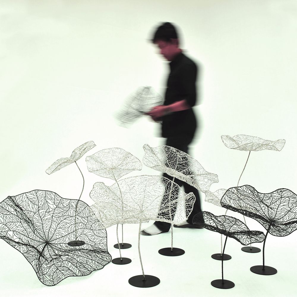 Sculptures, statuettes and miniatures - LOTUS LEAF - APIWAT CHITAPANYA