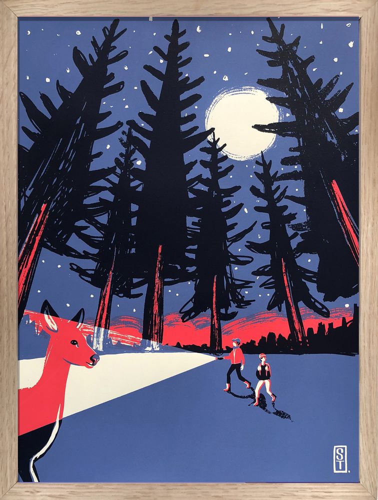Poster - Nyctalope Poster - ST