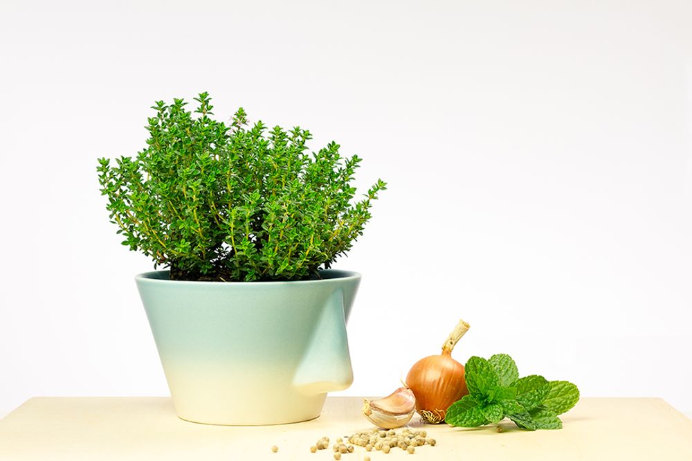 Design objects - Naso 2.0 bowl - DEDAL