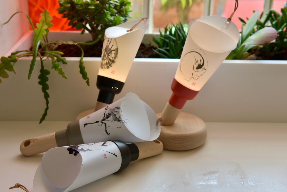 Objets de décoration - Coffret Lampe  "Passe Partout" Ammonite Yves Dimier - MAISON POLOCHON