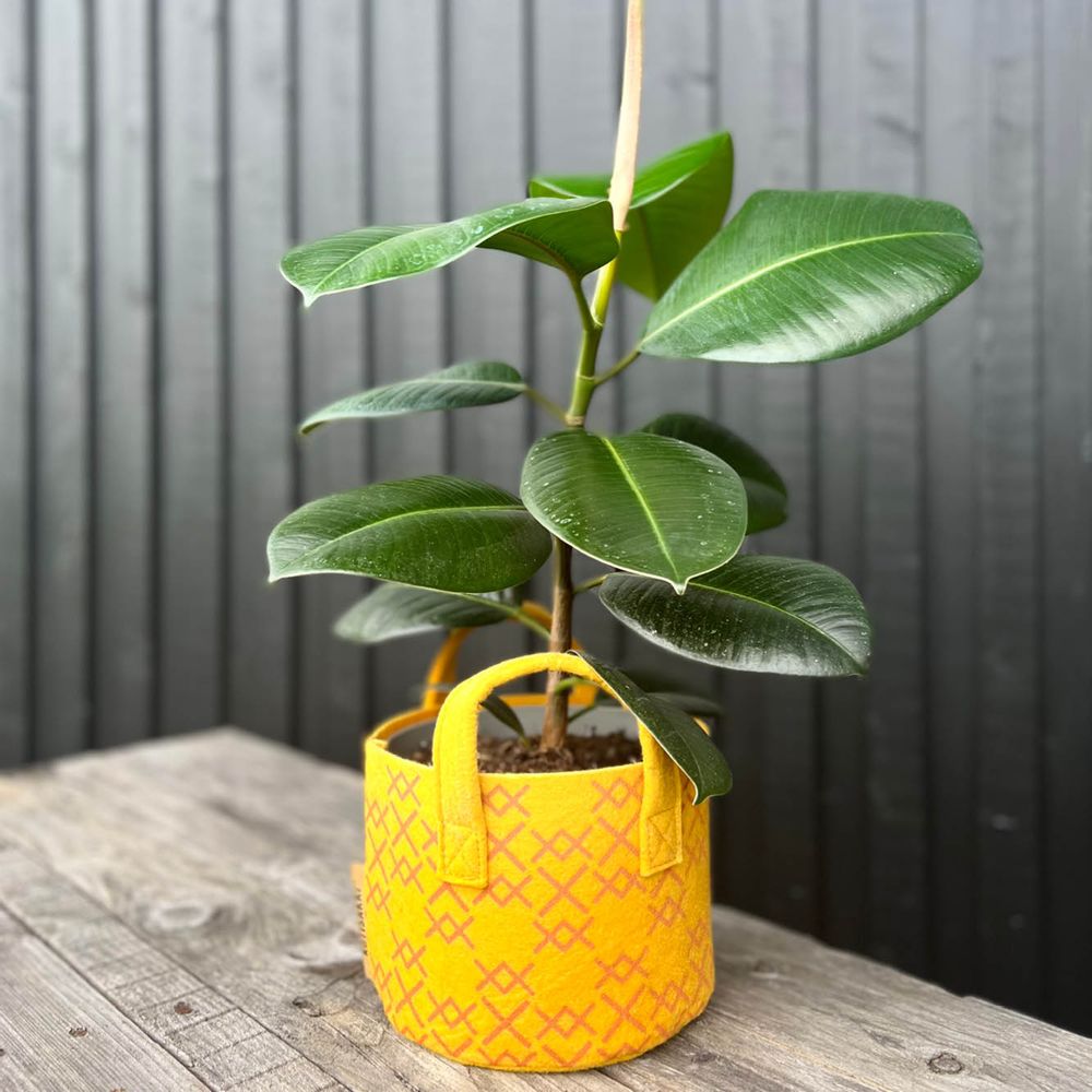 Flower pots - Pot & Cover - Golden Ochre 3 L - VILIKKALA