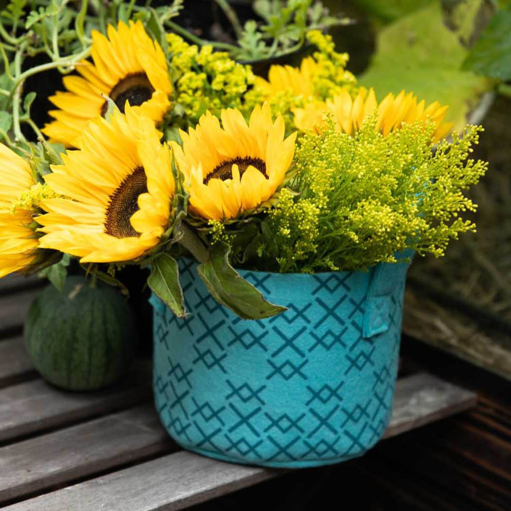 Flower pots - Pot & Cover - Sky Blue 3L - VILIKKALA