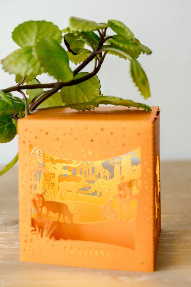 Objets déco enfant - MINILUM Savane - MH EDITIONS