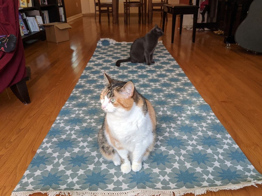 Tapis - Tapis Déformation du parquet - AZMAS RUGS