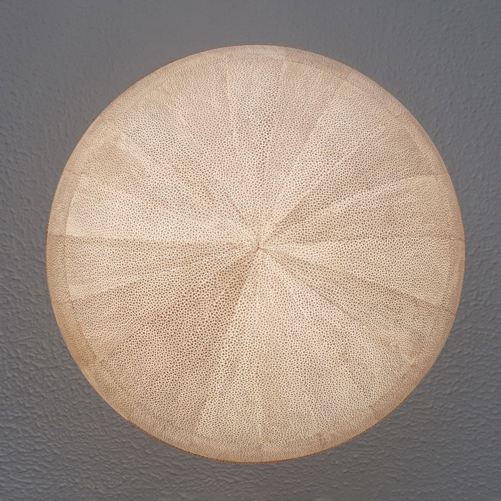 Hanging lights - full moon - Hanging - GK DESIGNS