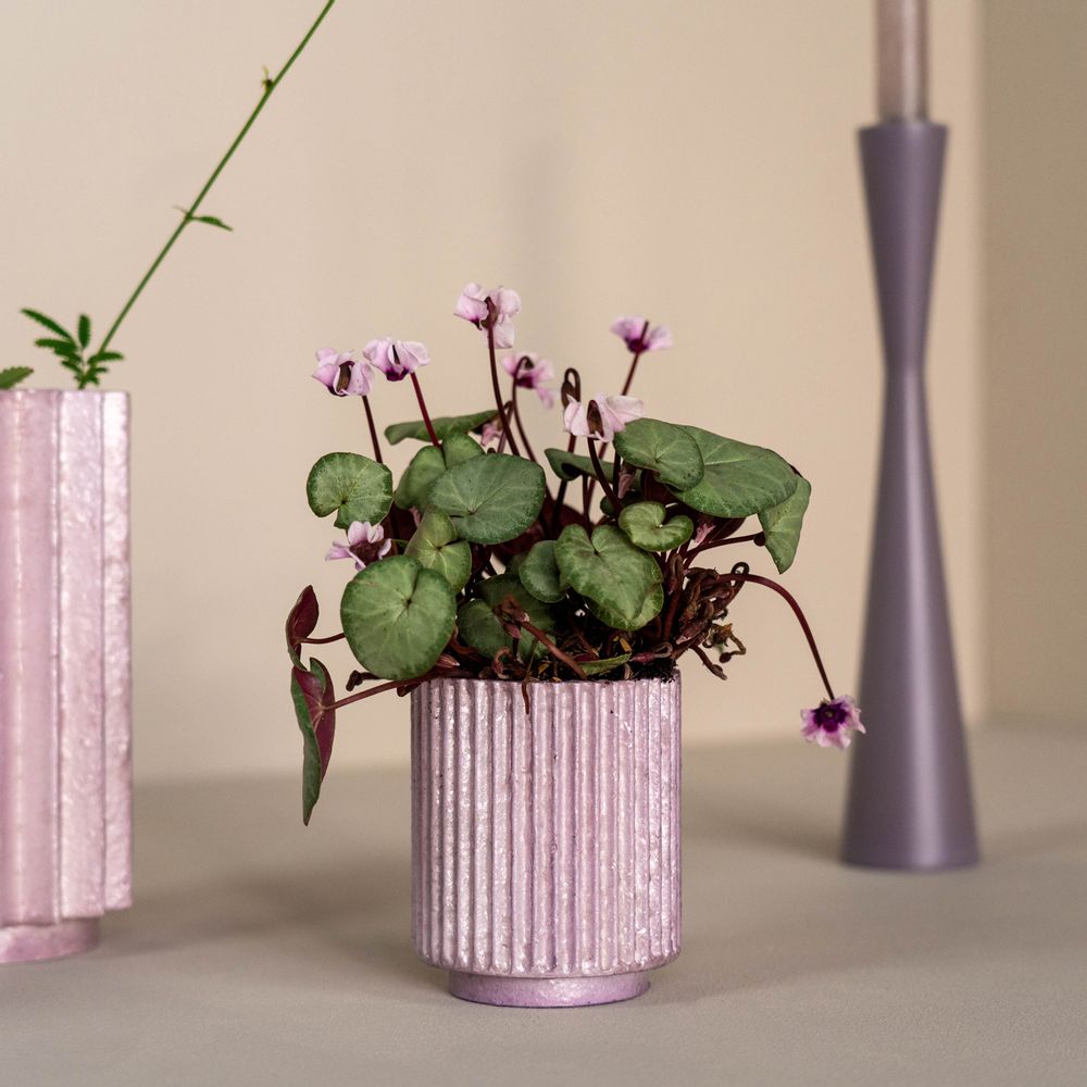 Vases - Vases à pulpe et pots de fleurs Capiz - KINTA
