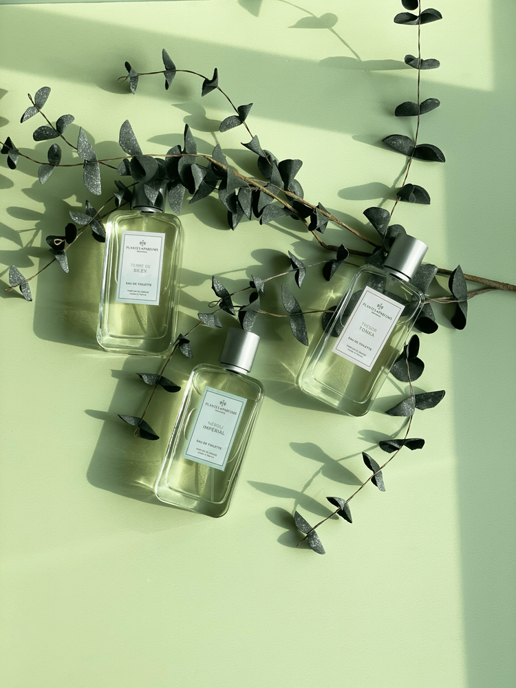 Cosmétiques - Parfums et Cosmétiques Naturels - PLANTES & PARFUMS - AGAPE
