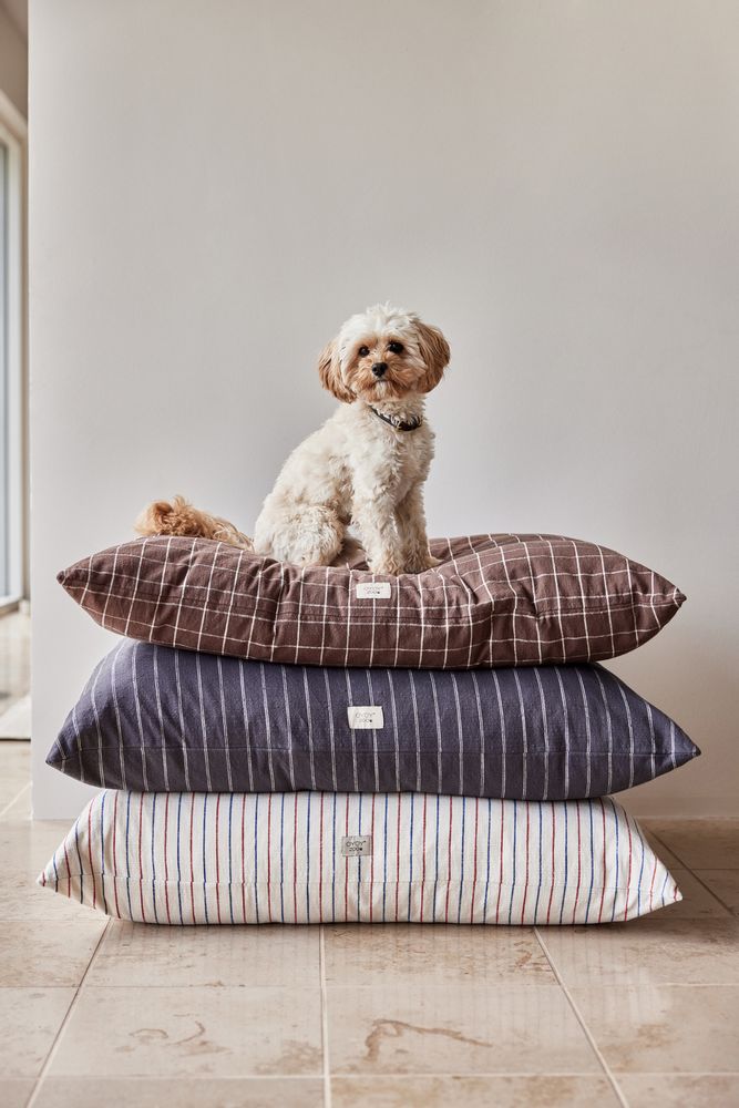 Cushions - KYOTO DOG CUSHION - SMALL - OYOY LIVING DESIGN