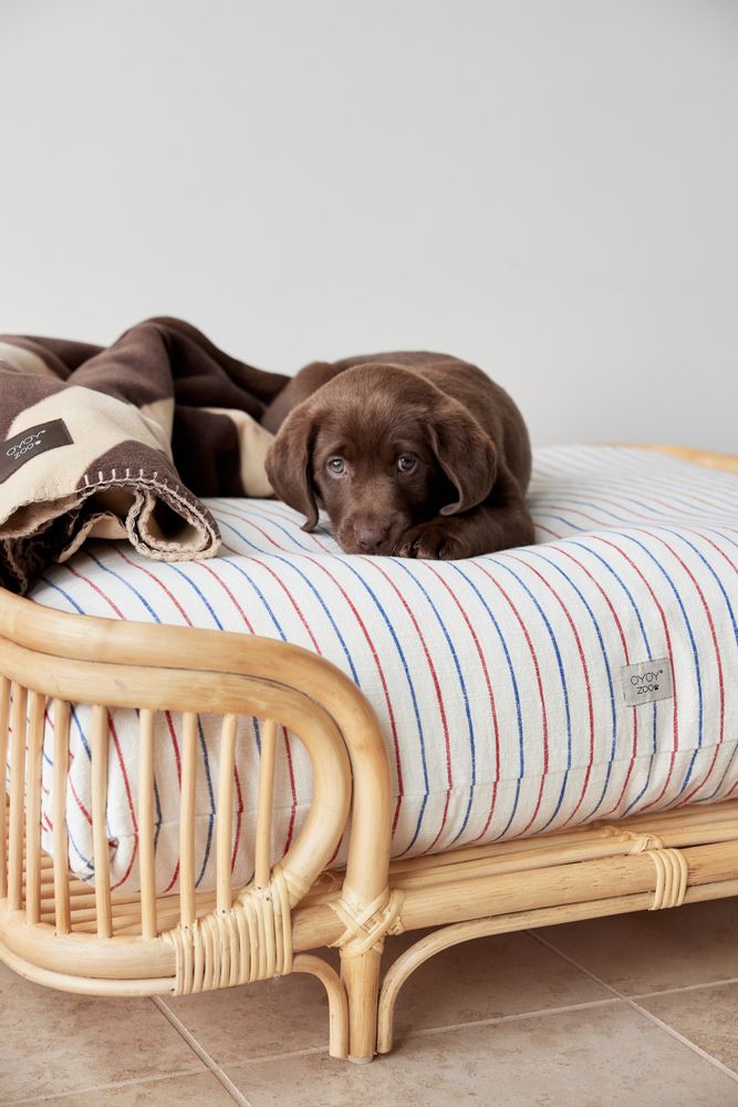 Accessoires animaux - LIT POUR CHIEN OTTO - LARGE - OYOY LIVING DESIGN