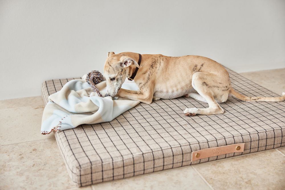 Accessoires animaux - COUVERTURE POUR CHIEN KAYA - LARGE - OYOY LIVING DESIGN