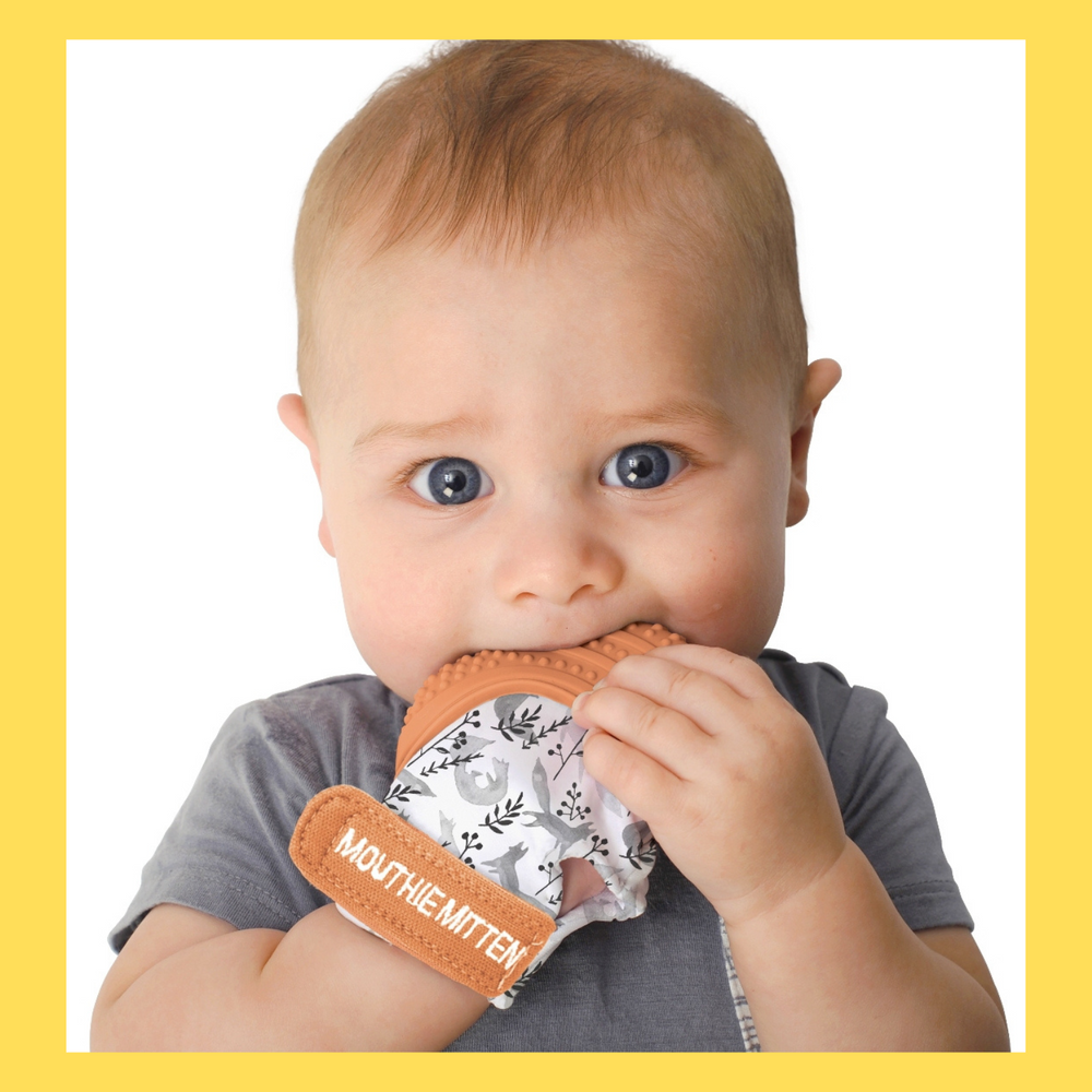 Accessoires pour puériculture - Mitaine de dentition pour bébé 3-12 mois - BABIREVA