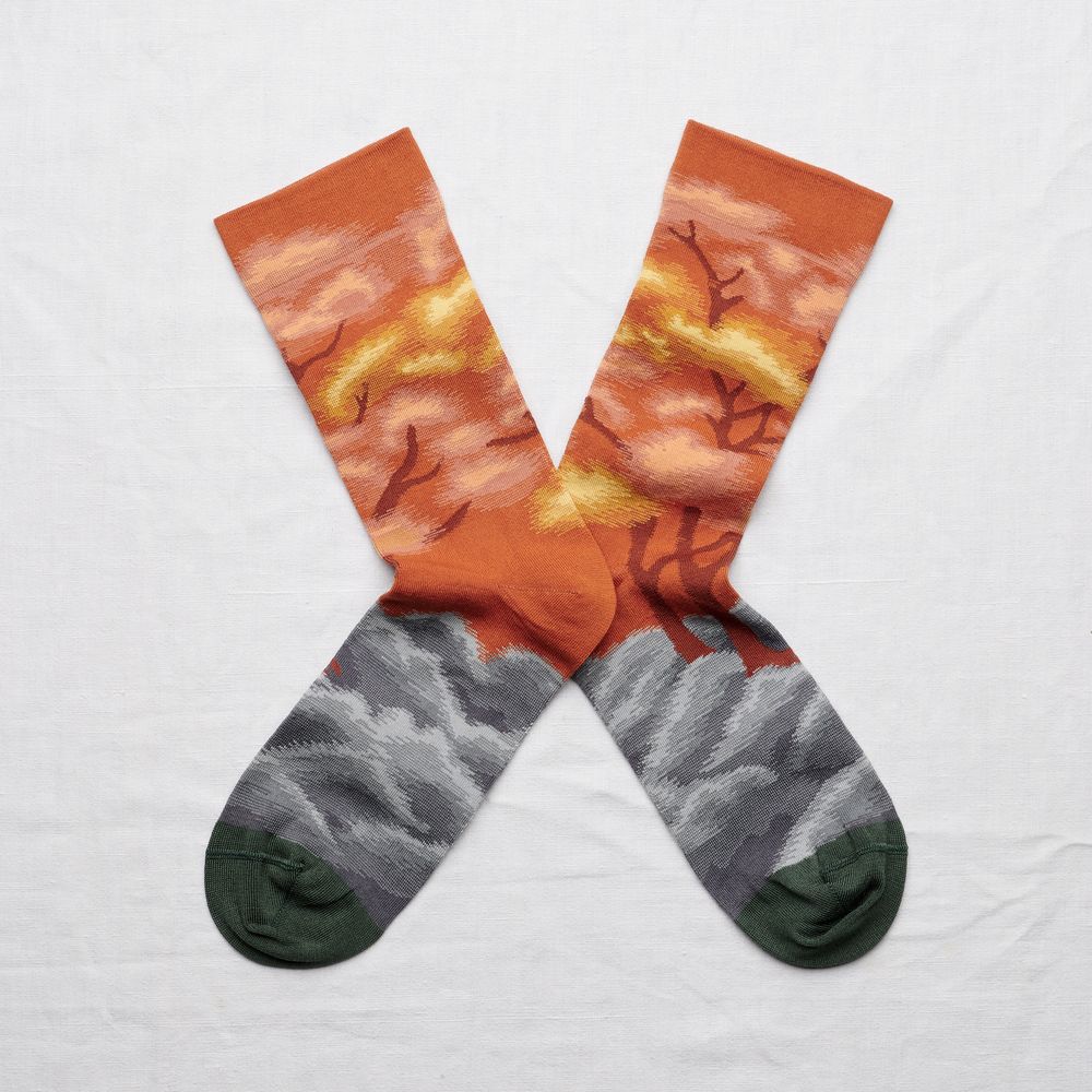 Chaussettes - L'AUTOMNE - BONNE MAISON