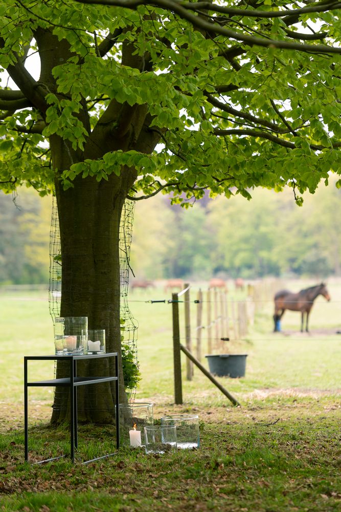 Consoles - Table console IRON - SCAPA HOME