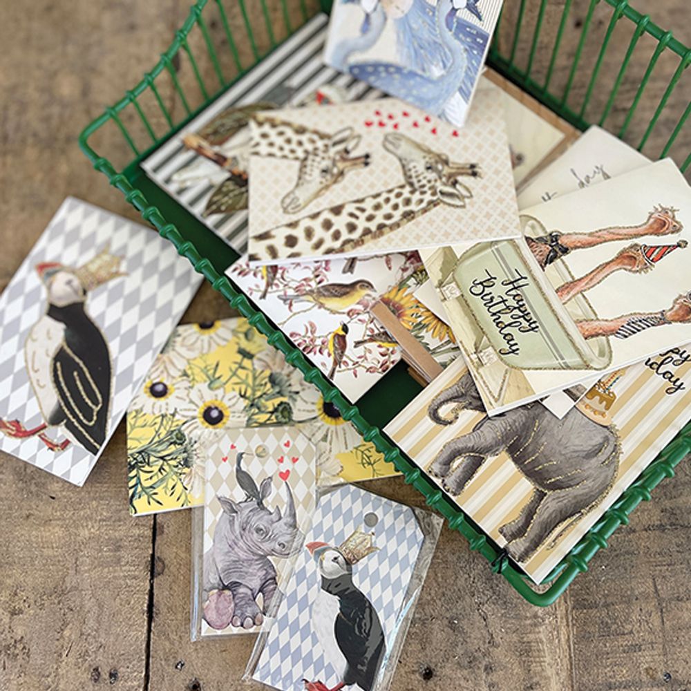 Gifts - GREETING CARDS - VANILLAFLY