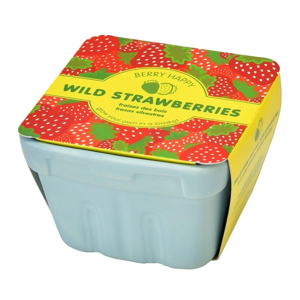 Accessoires de jardinage - Kit à cultiver - Berry Happy - NOTED